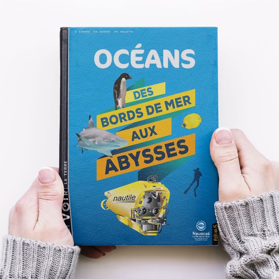 Livre jeunesse Ocean academy