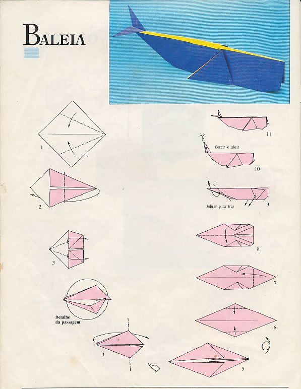origami Cachalot