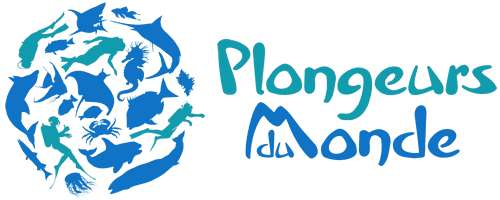logo PDM