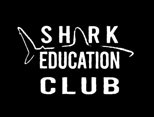 logo shark education