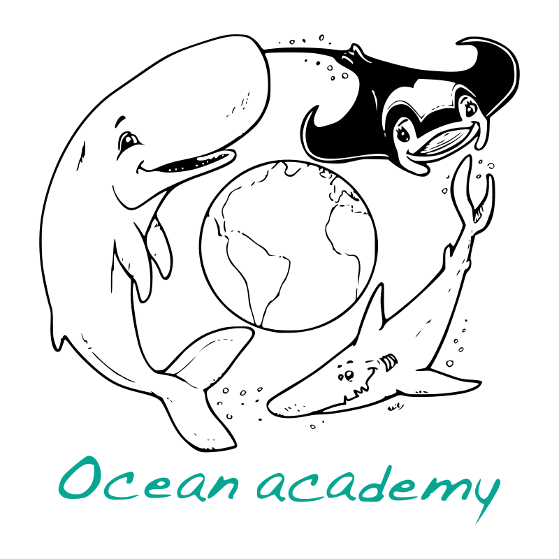 Logo Ocean academy